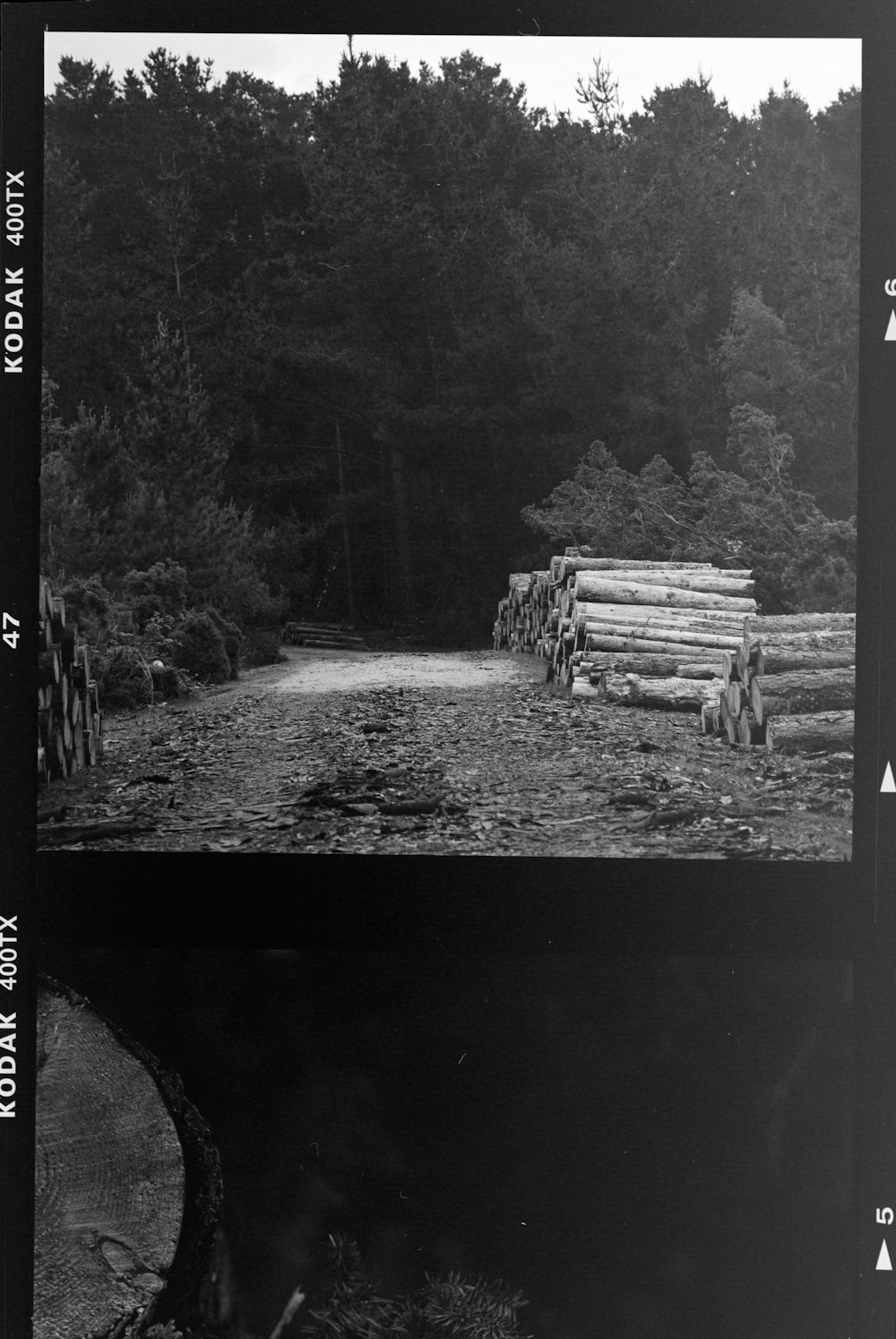 grayscale photo of wooden bench