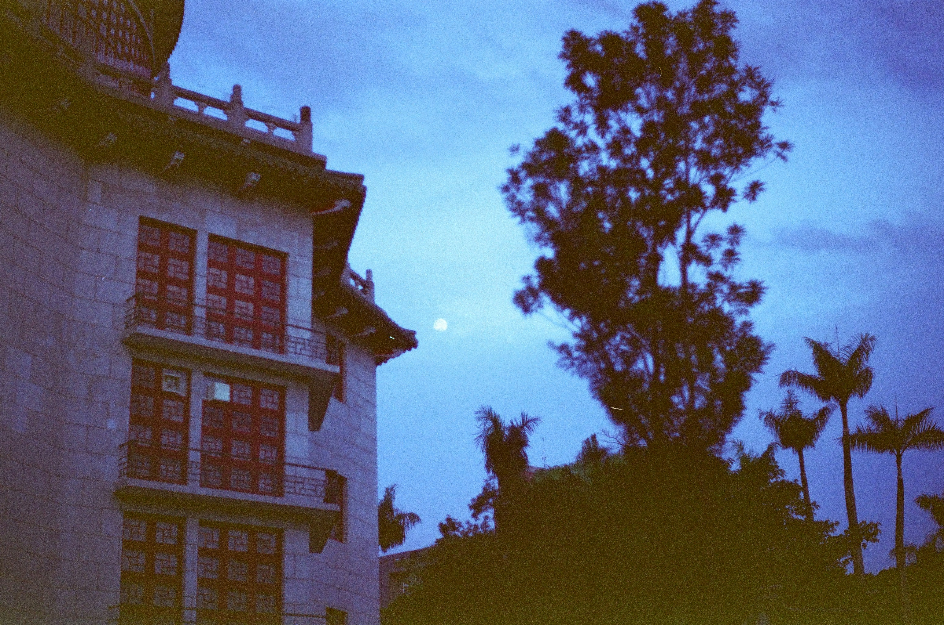 CoTrader header image