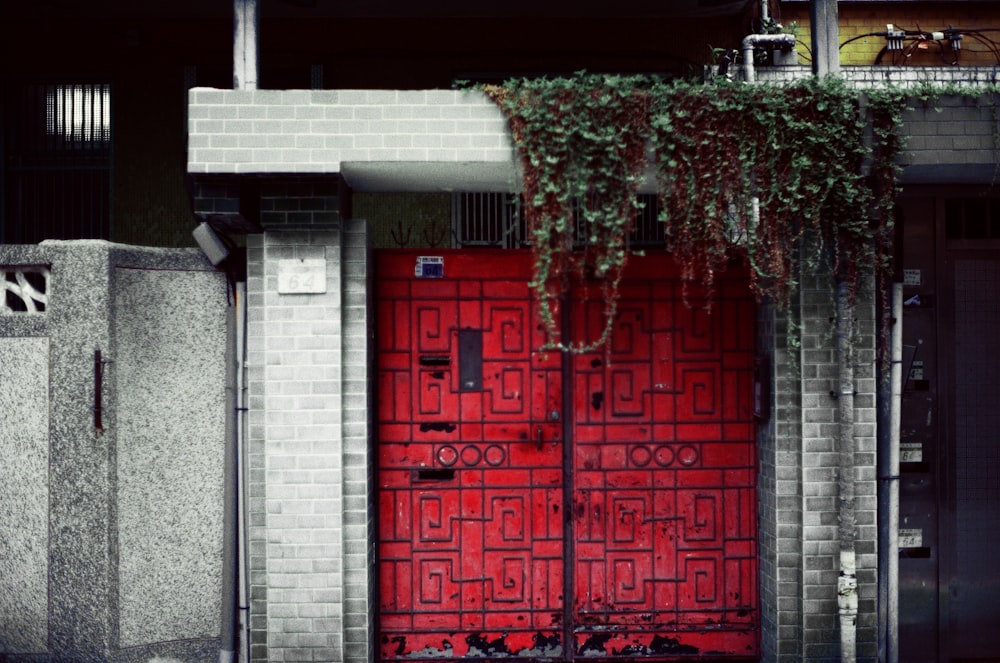 red wooden door with green plant on top