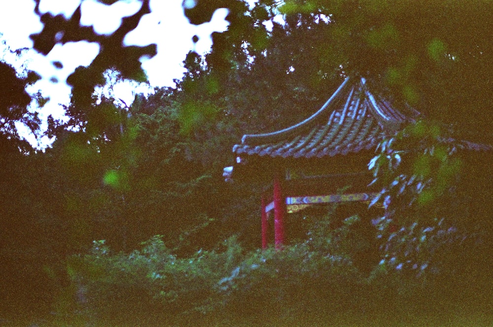 red and white wooden gazebo surrounded by green trees during daytime