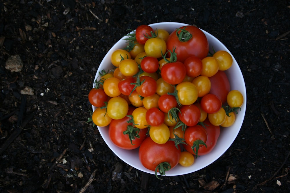 tomates vermelhos e amarelos na tigela de cerâmica branca