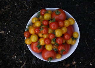 red and yellow tomatoes on white ceramic bowl
