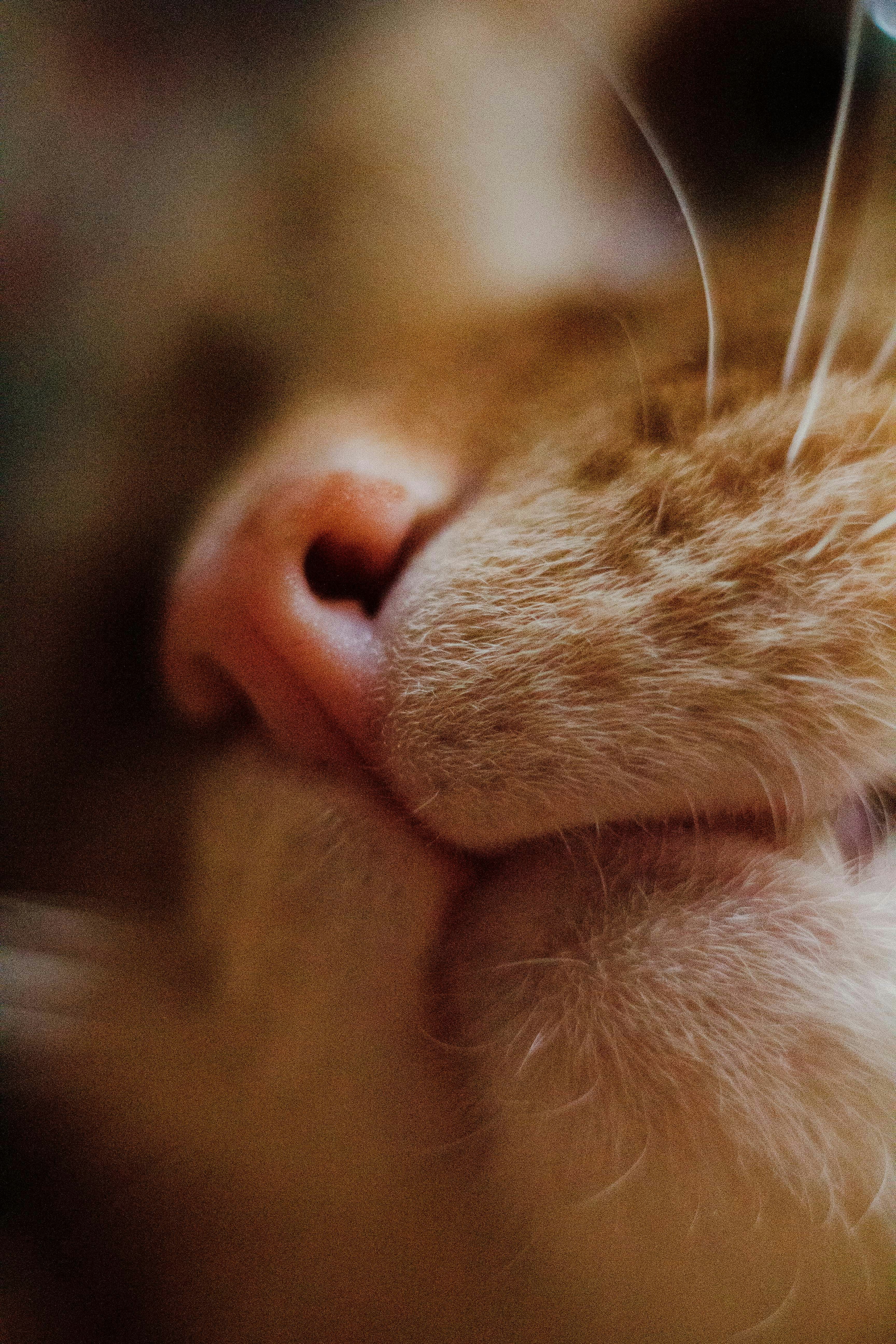 Photo by antikolobok