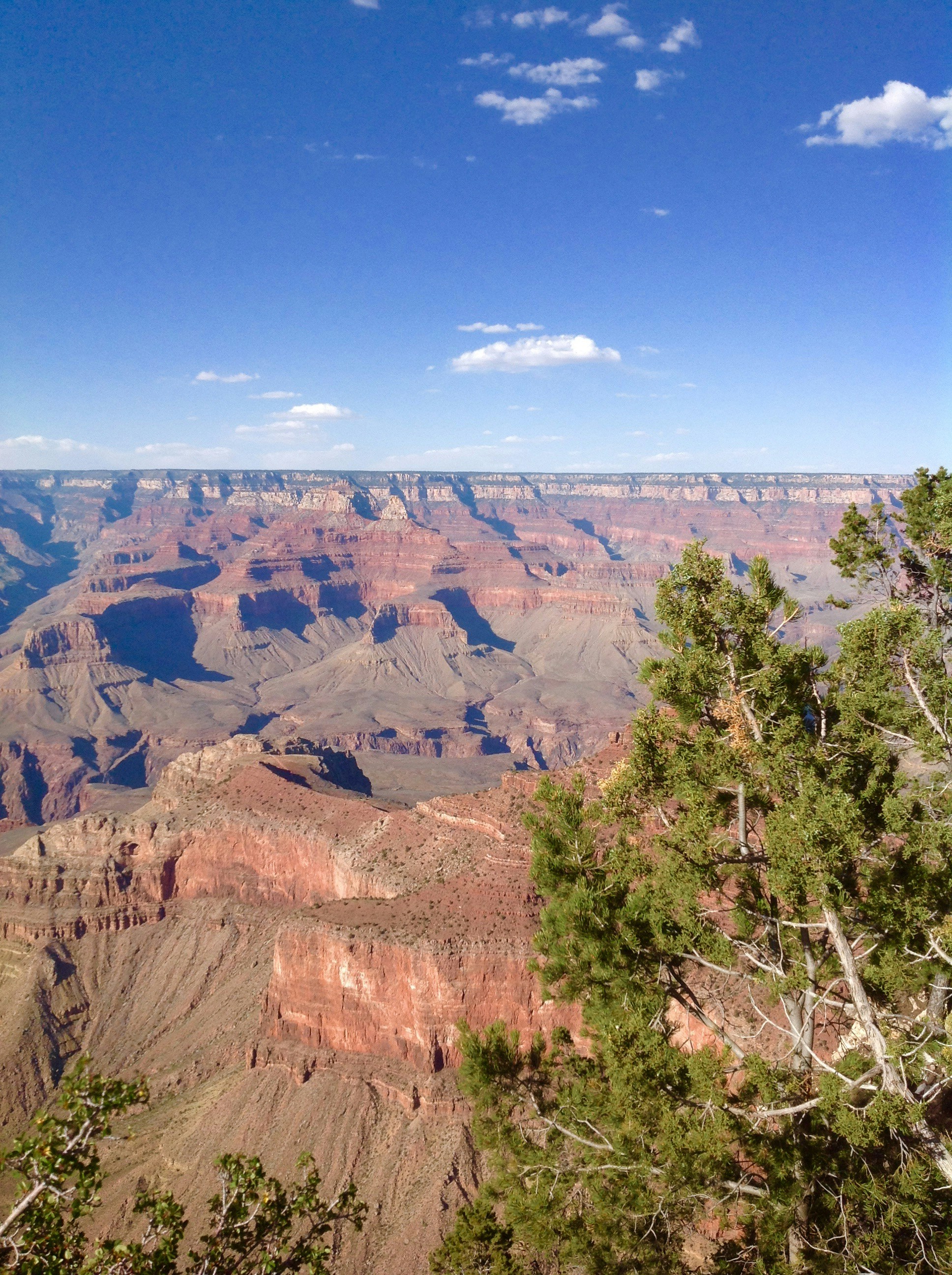 Photo by sandytoes2020