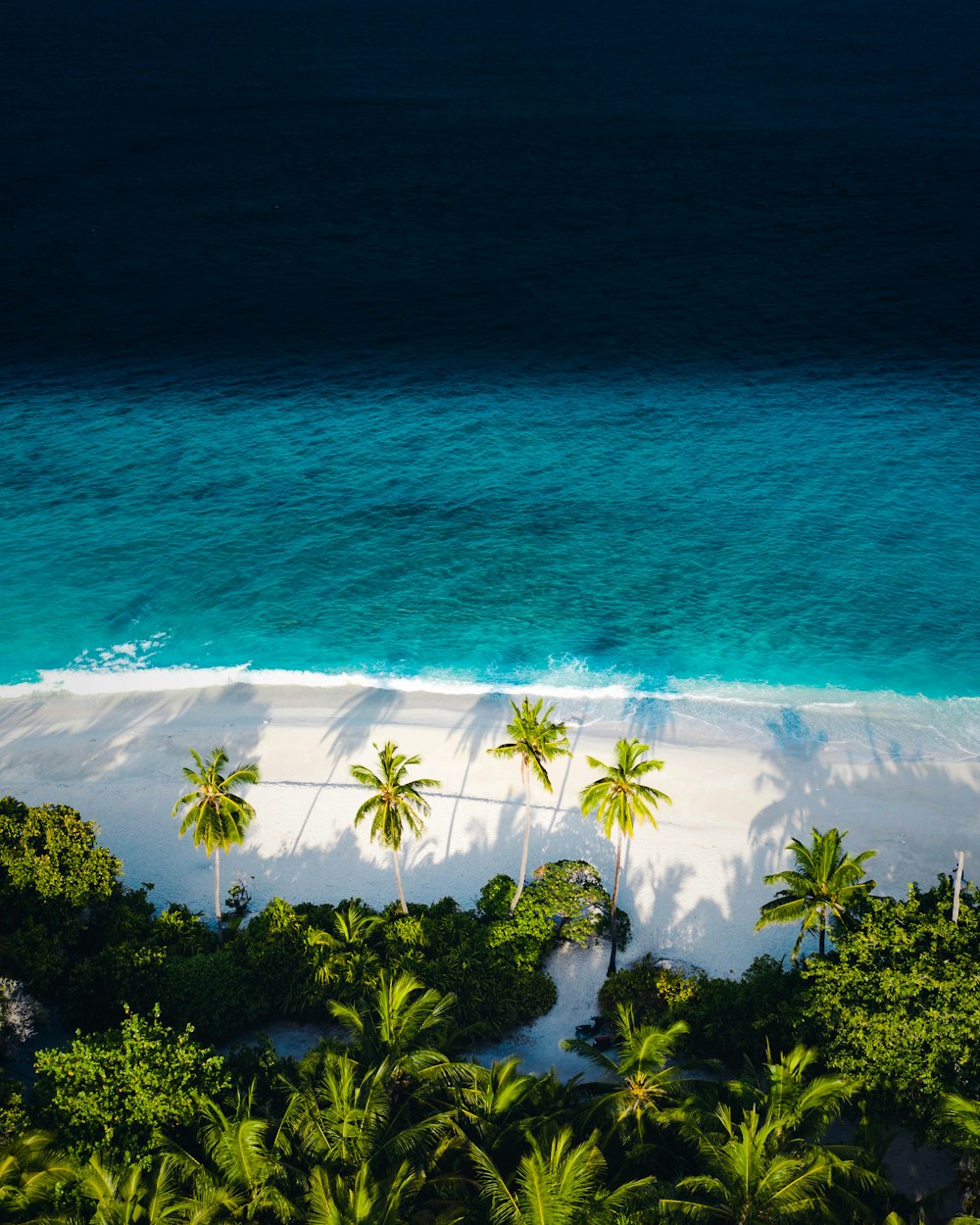 Vista aérea de la playa durante el día