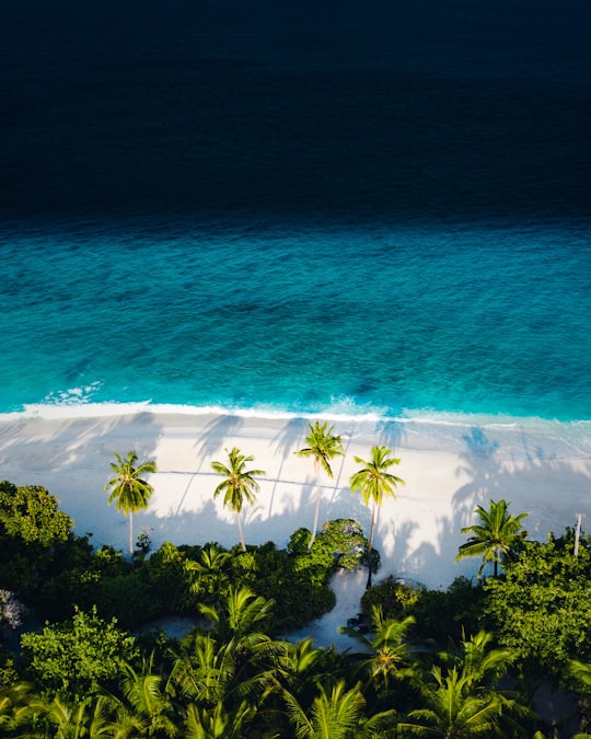 aerial view of beach during daytime in Fuvahmulah Maldives