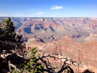 A vast and majestic landscape featuring the Grand Canyon under a bright blue sky. The immense canyon displays layers of red, orange, and brown rock formations, creating a stunning vista. Foregrounded are several green trees and branches, adding a touch of nature to the rugged scene.