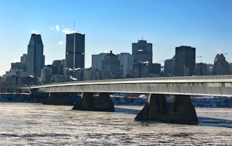 Close-up of workers laying concrete on a modern bridge spanning a wide river.