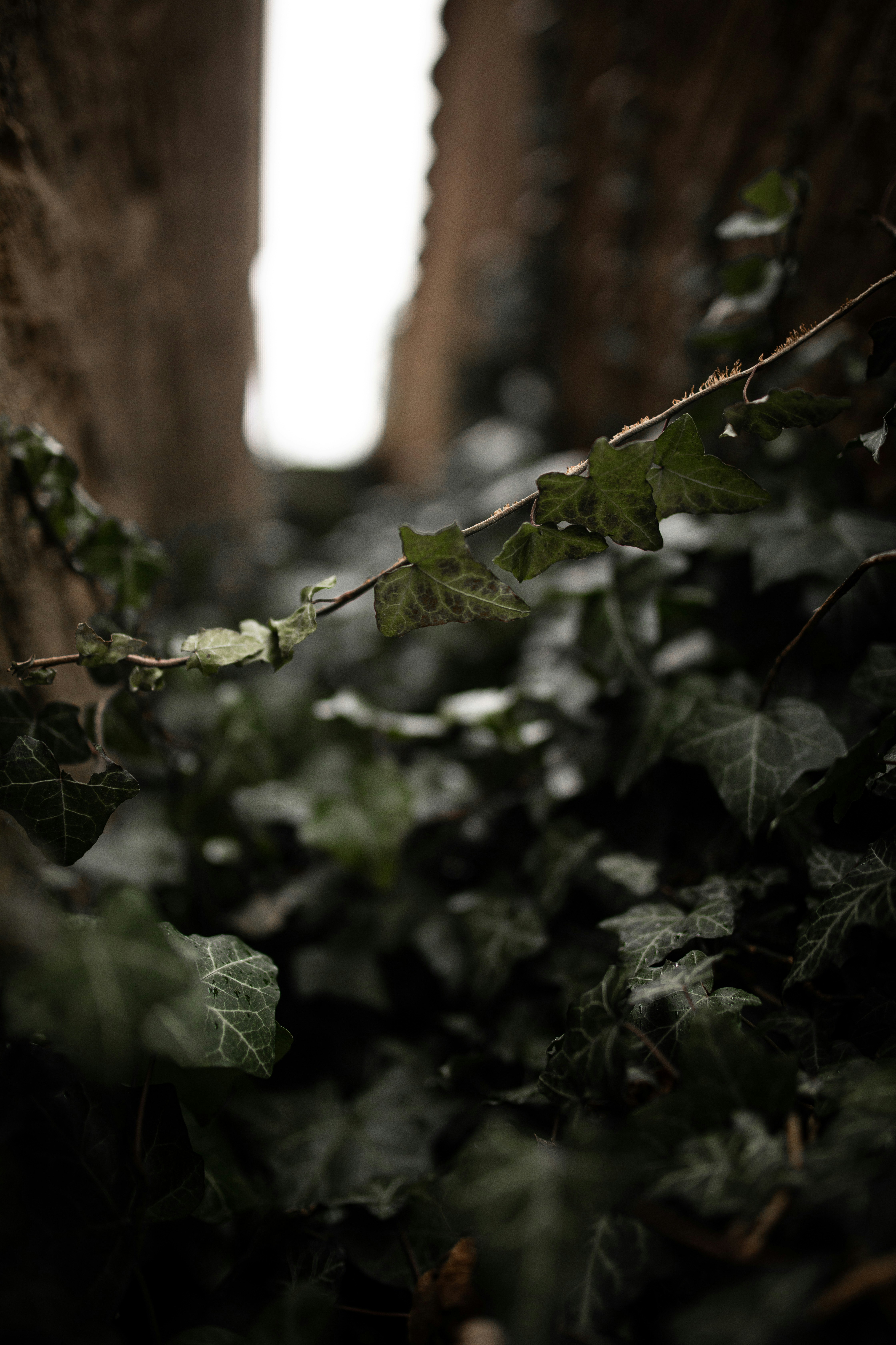 Photo by kajareichardtphotos