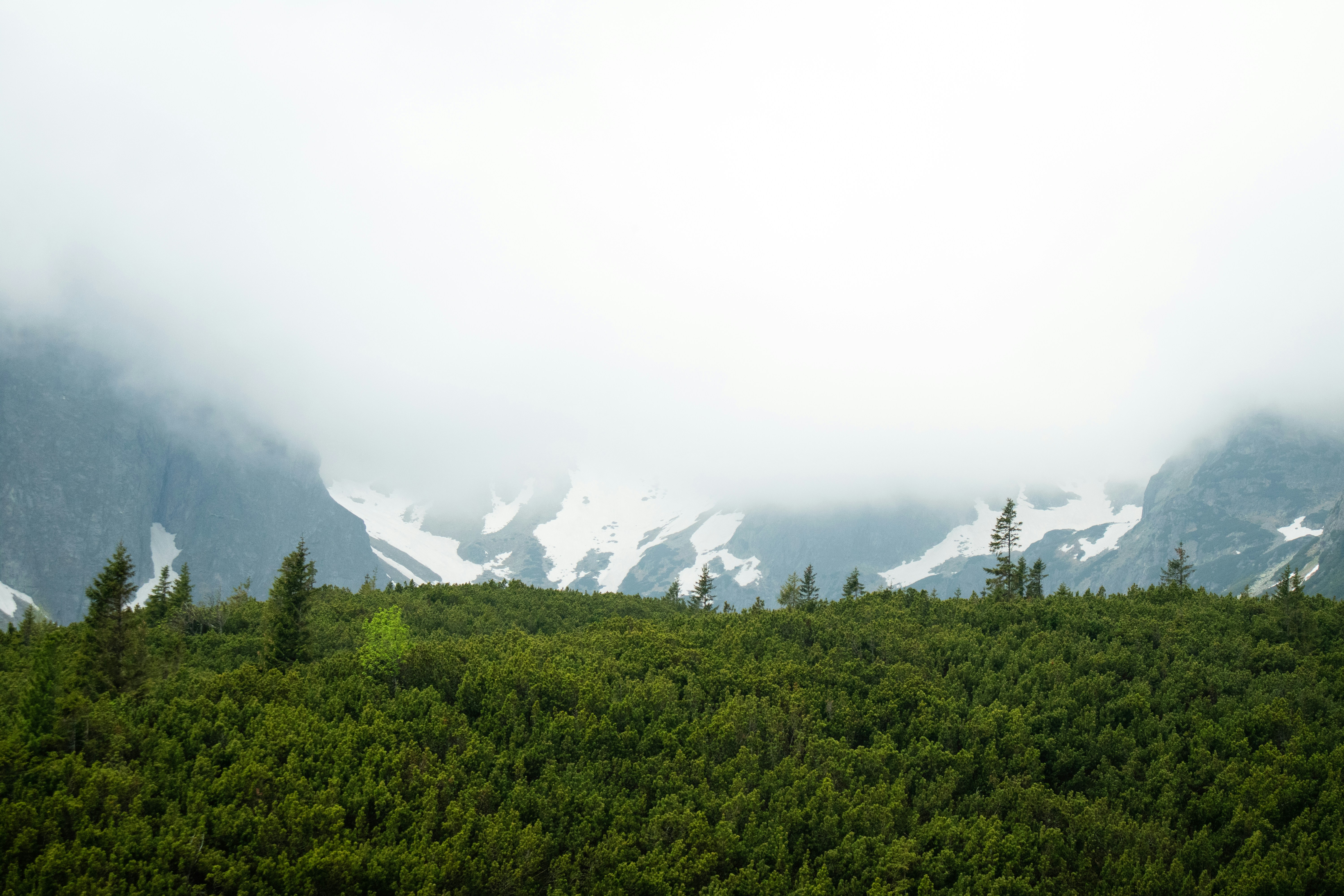 Photo by michalgonda