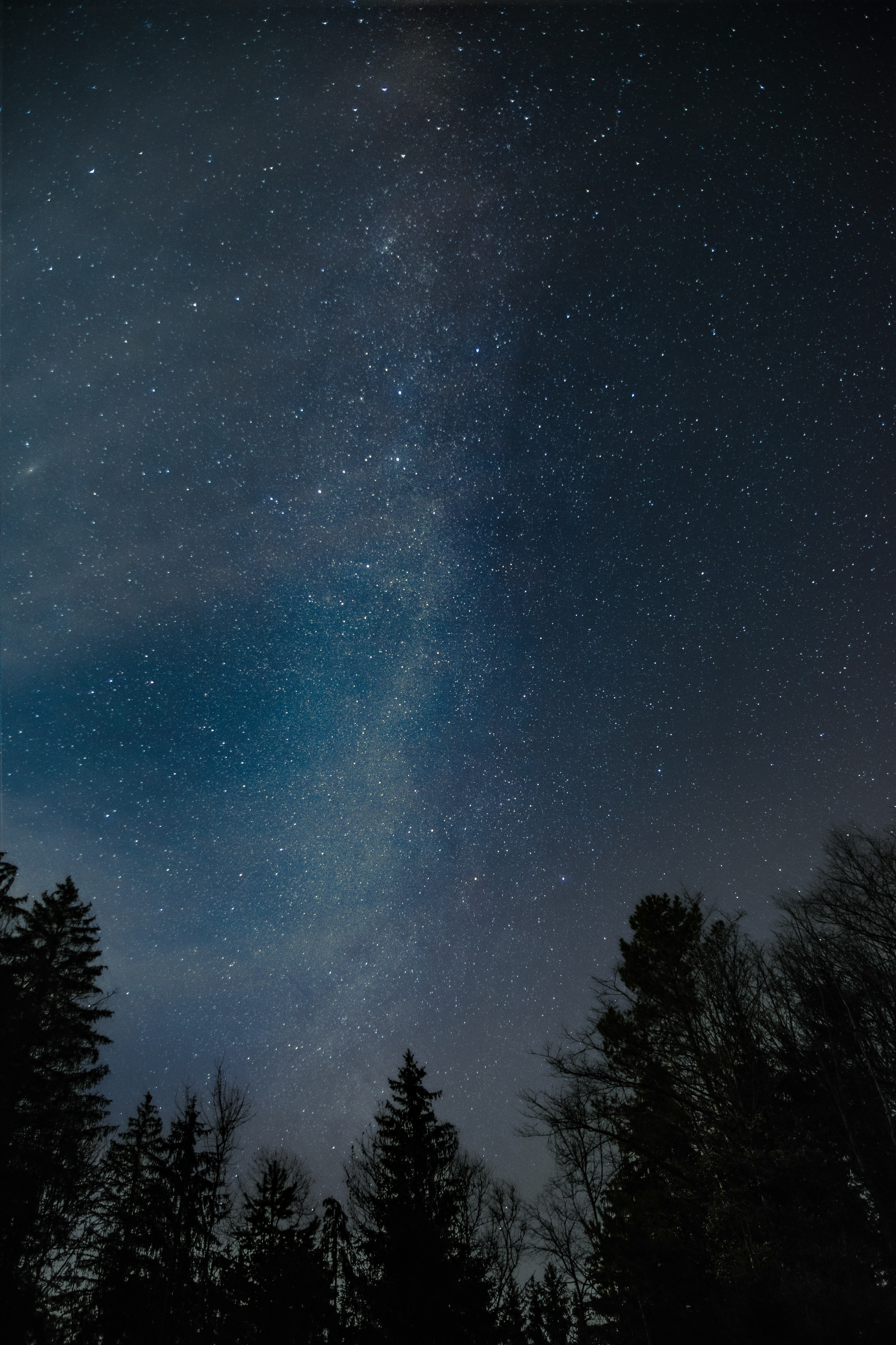 星空の下の木々のシルエットの写真 Unsplashで見つけるグレーの無料写真