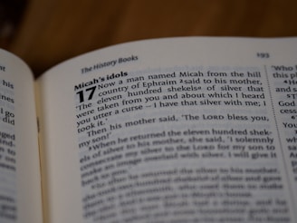 A close-up of an open book page with text focusing on 'Micah's idols'. The page is mostly white with black and some blue text in a two-column format.