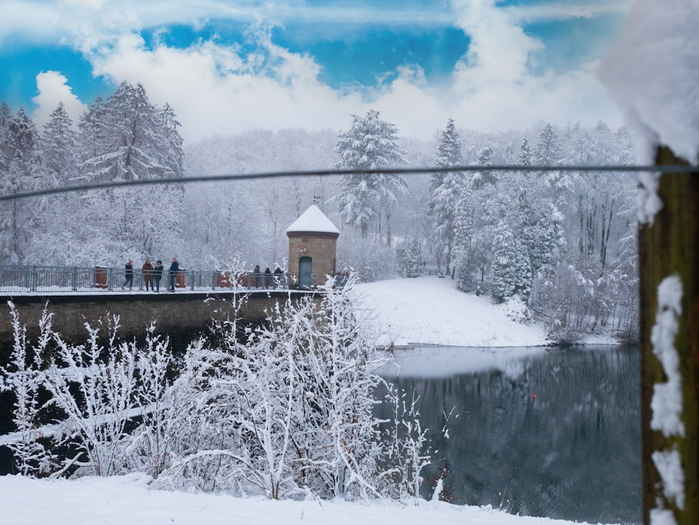 snow covered trees and house near body of water during daytime