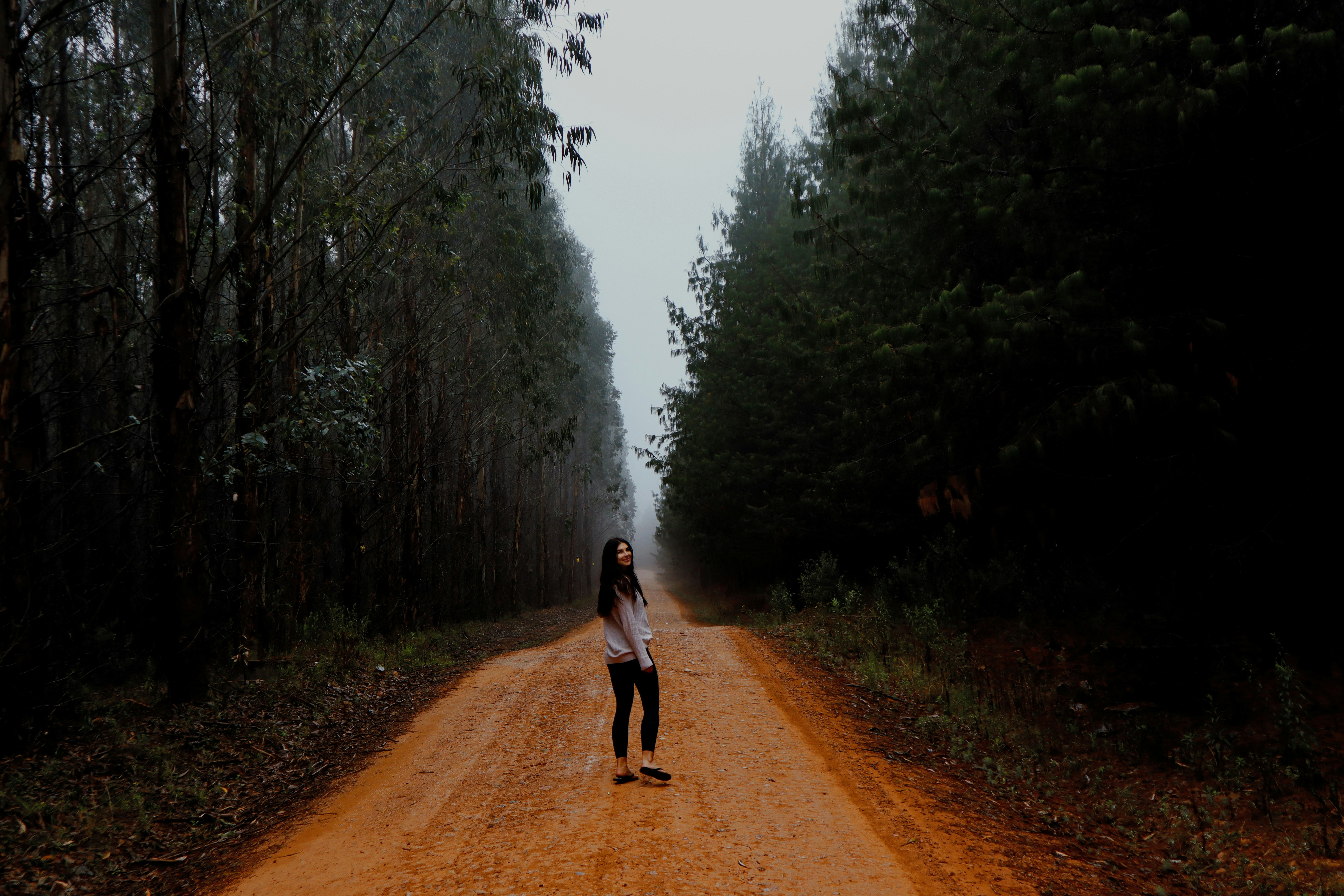 Pourquoi le bain de forêt peut réorganiser votre cerveau (et comment commencer aujourd’hui même)