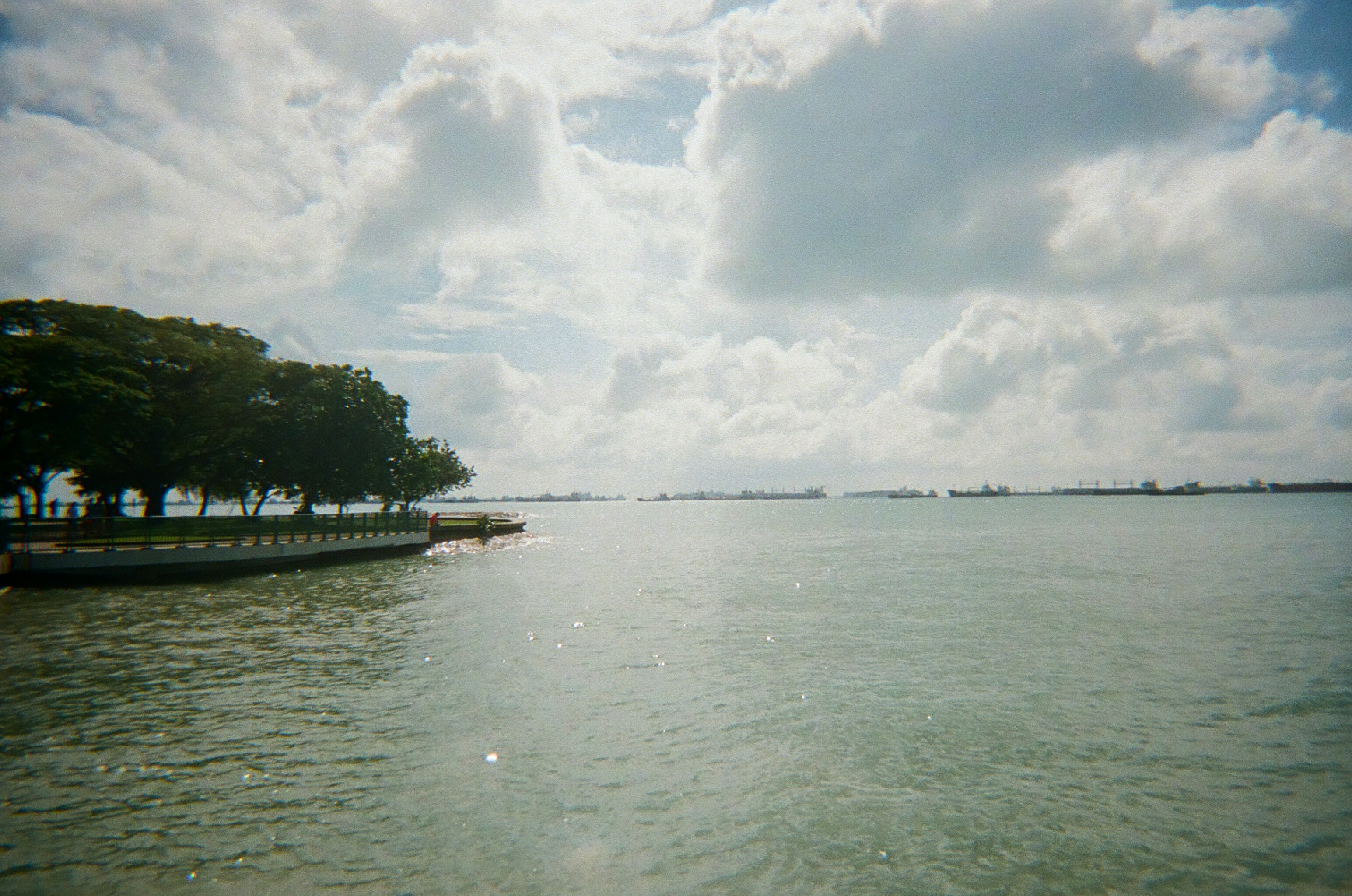 green trees near body of water under white clouds during daytime