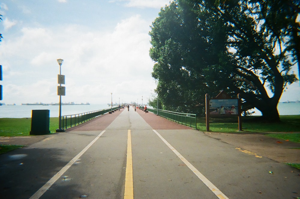 empty road between green trees under white sky during daytime