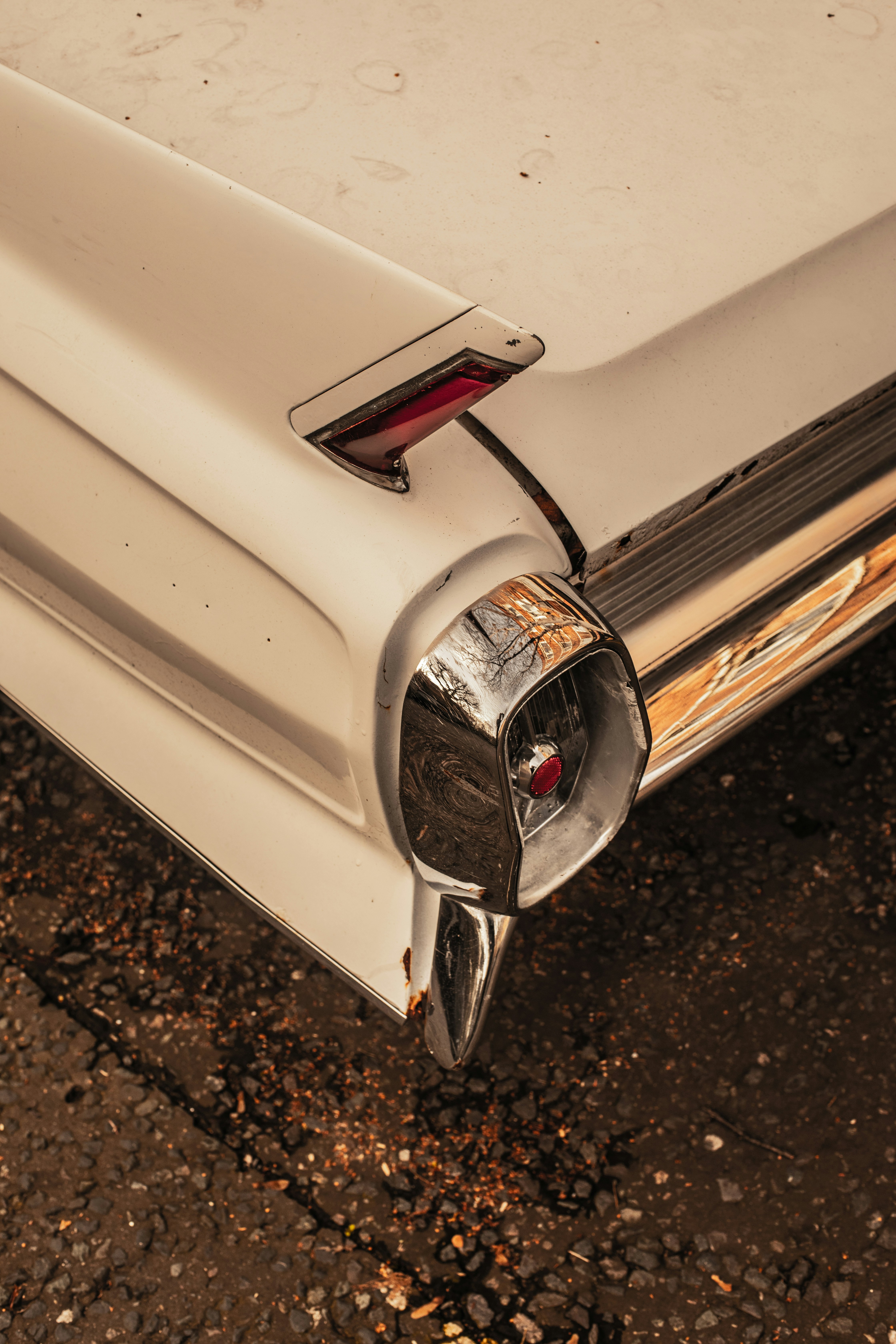 Photo by louisnesbitt