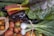 A vibrant assortment of fresh vegetables including leafy greens, colorful chard, eggplants, tomatoes, onions, and zucchinis. The arrangement highlights a variety of textures and colors, with the vegetables looking fresh and lush.
