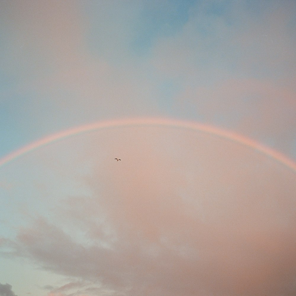 rainbow under blue sky during daytime