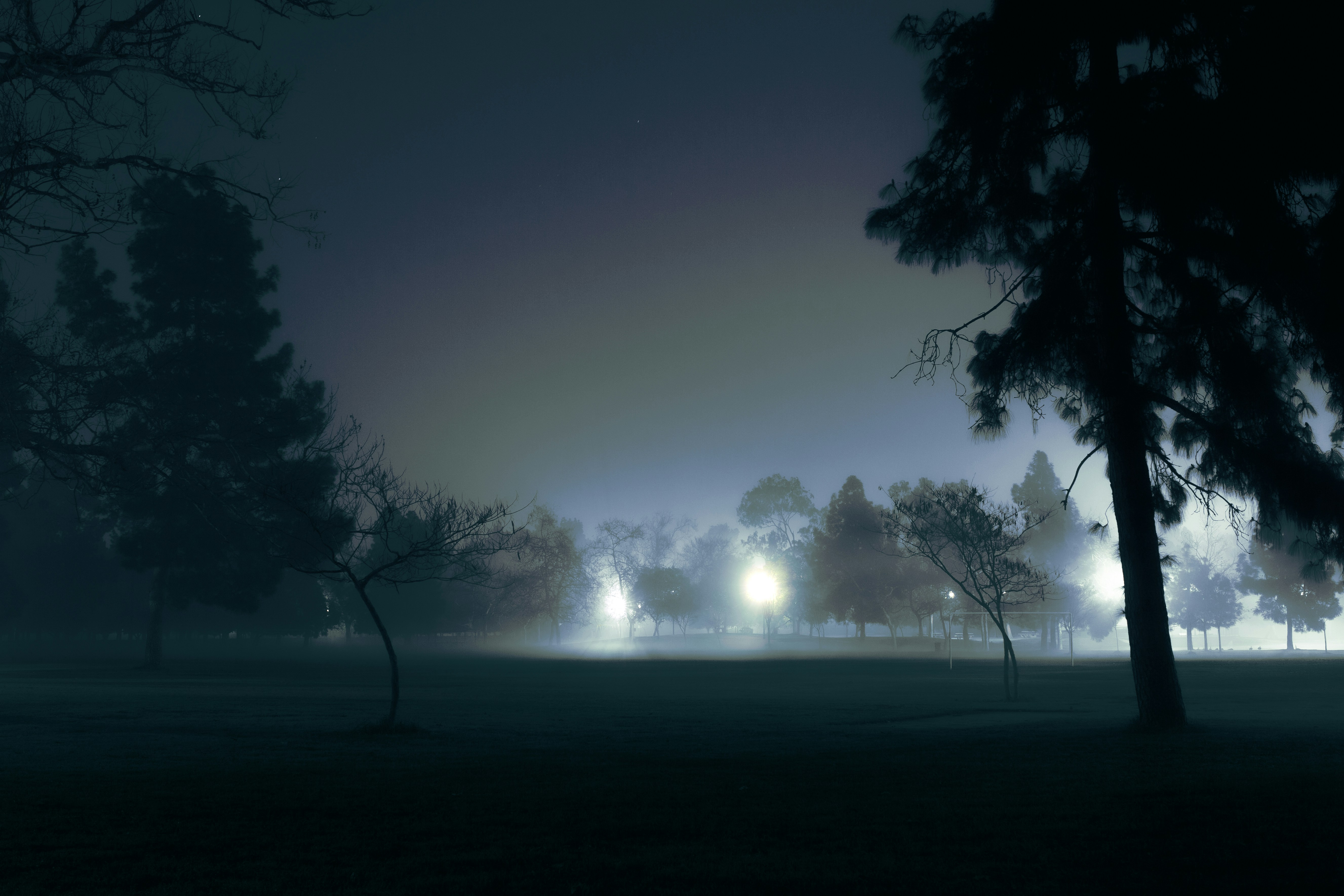 Photo by capturedbyjavi