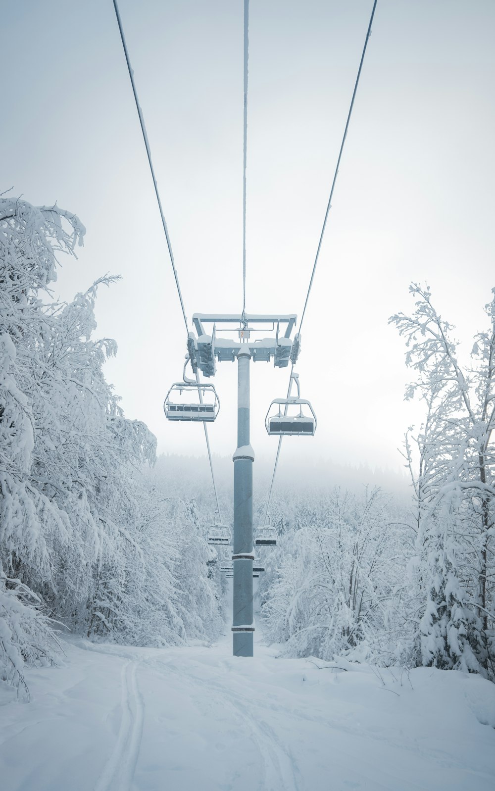 grayscale photo of cable cars