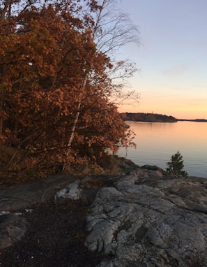 A quiet lakeside scene reflecting autumn trees at sunset.