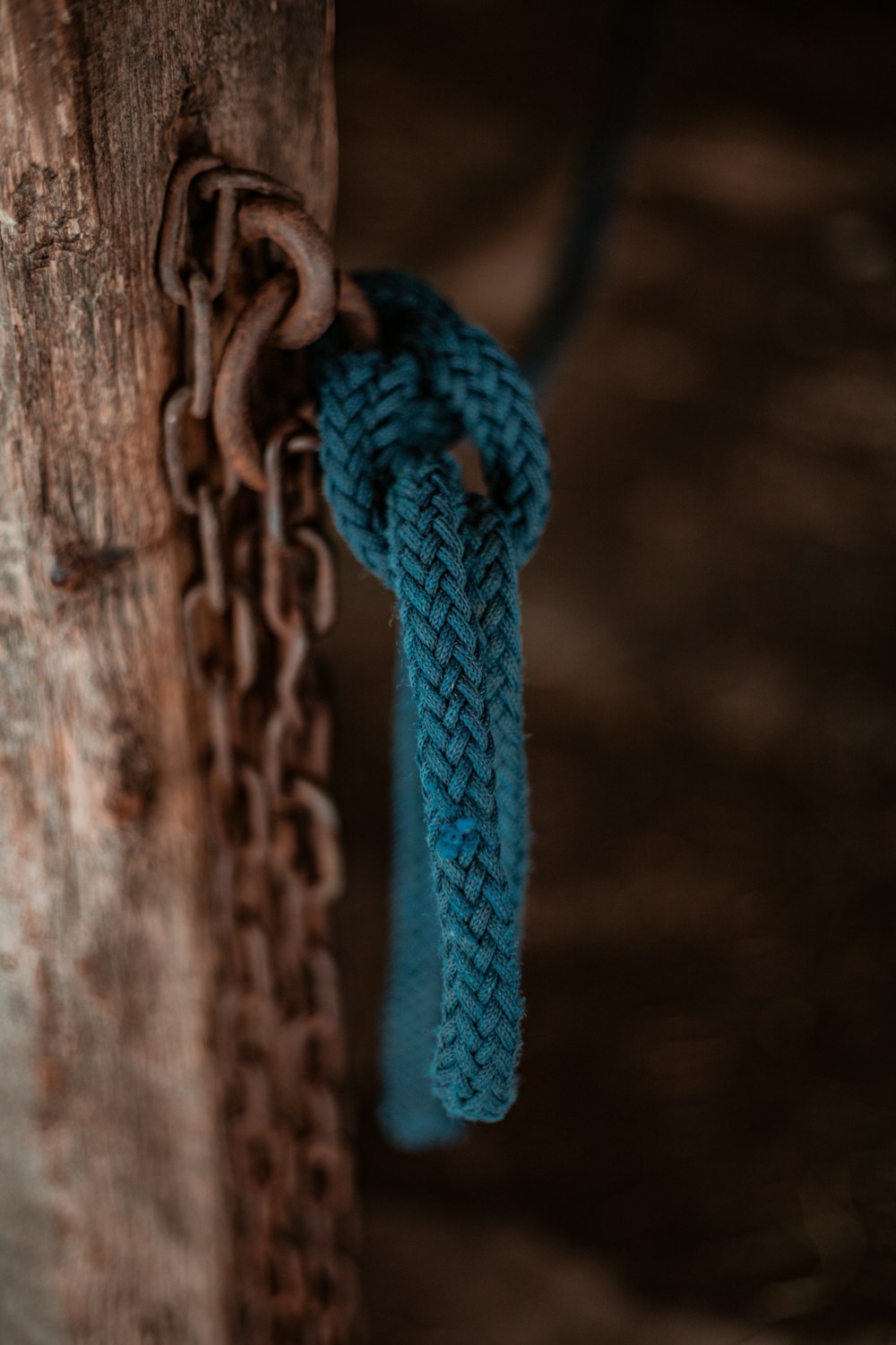 corde bleue sur clôture en bois marron