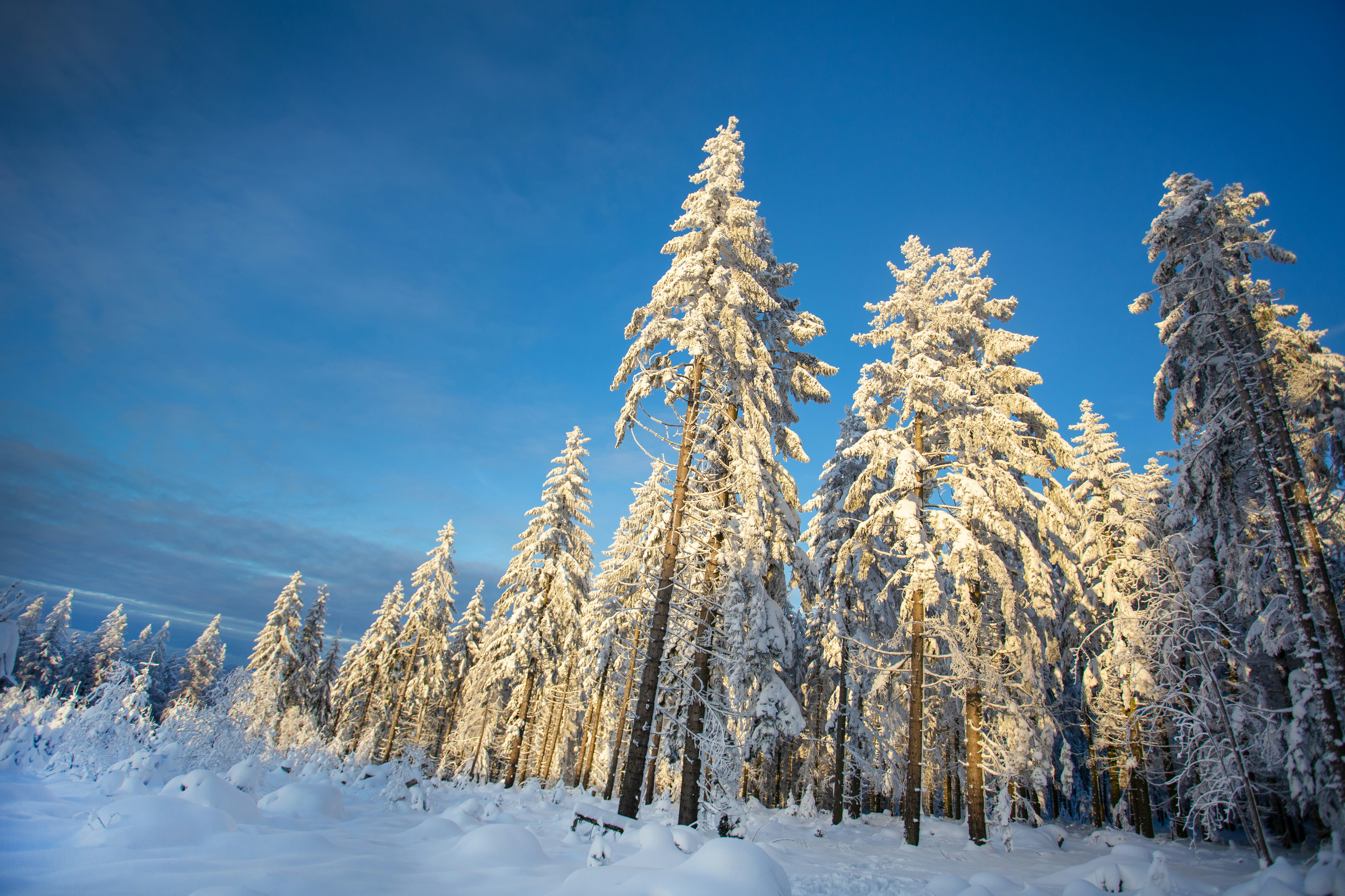 Photo by leetpadilla