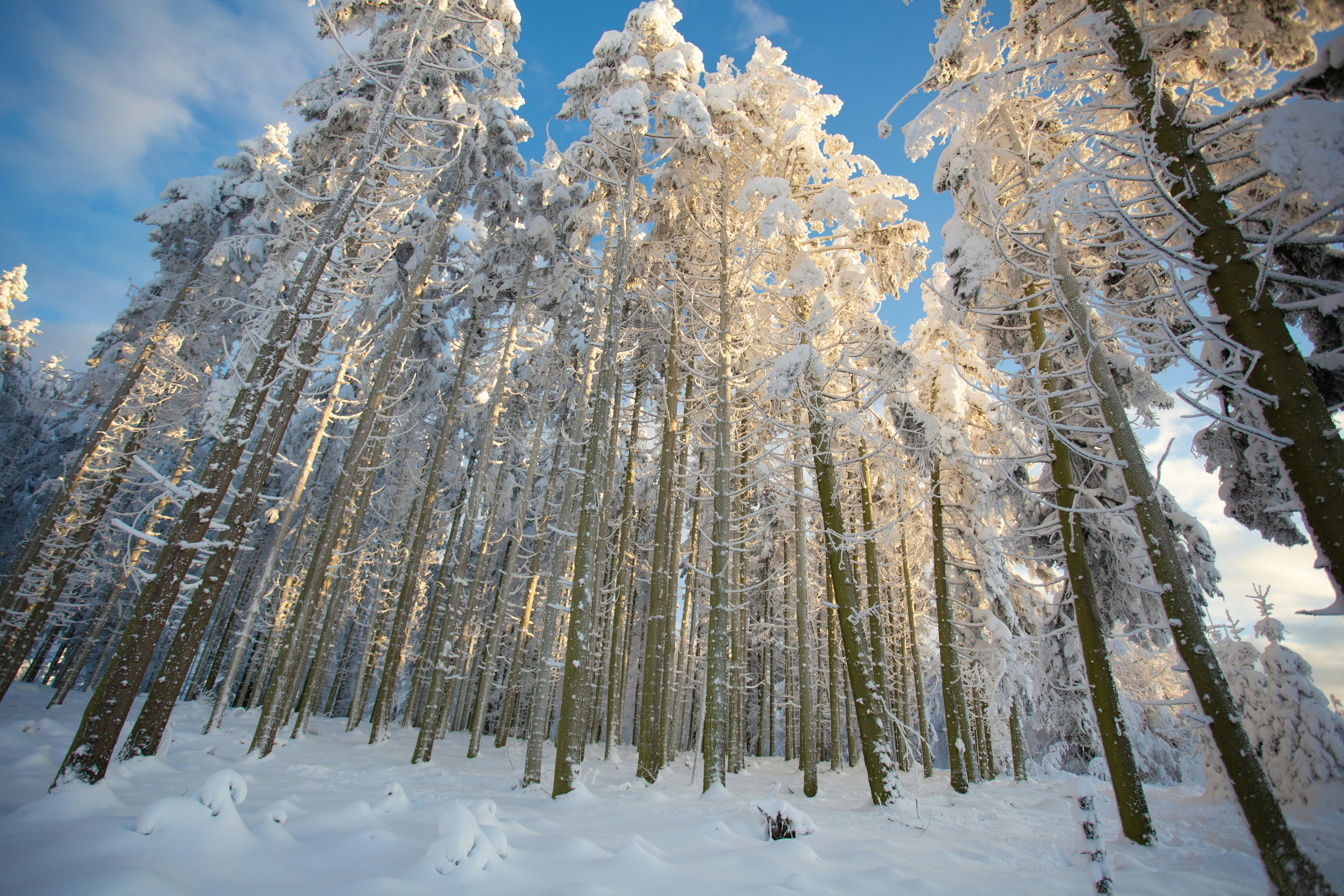 Photo by leetpadilla