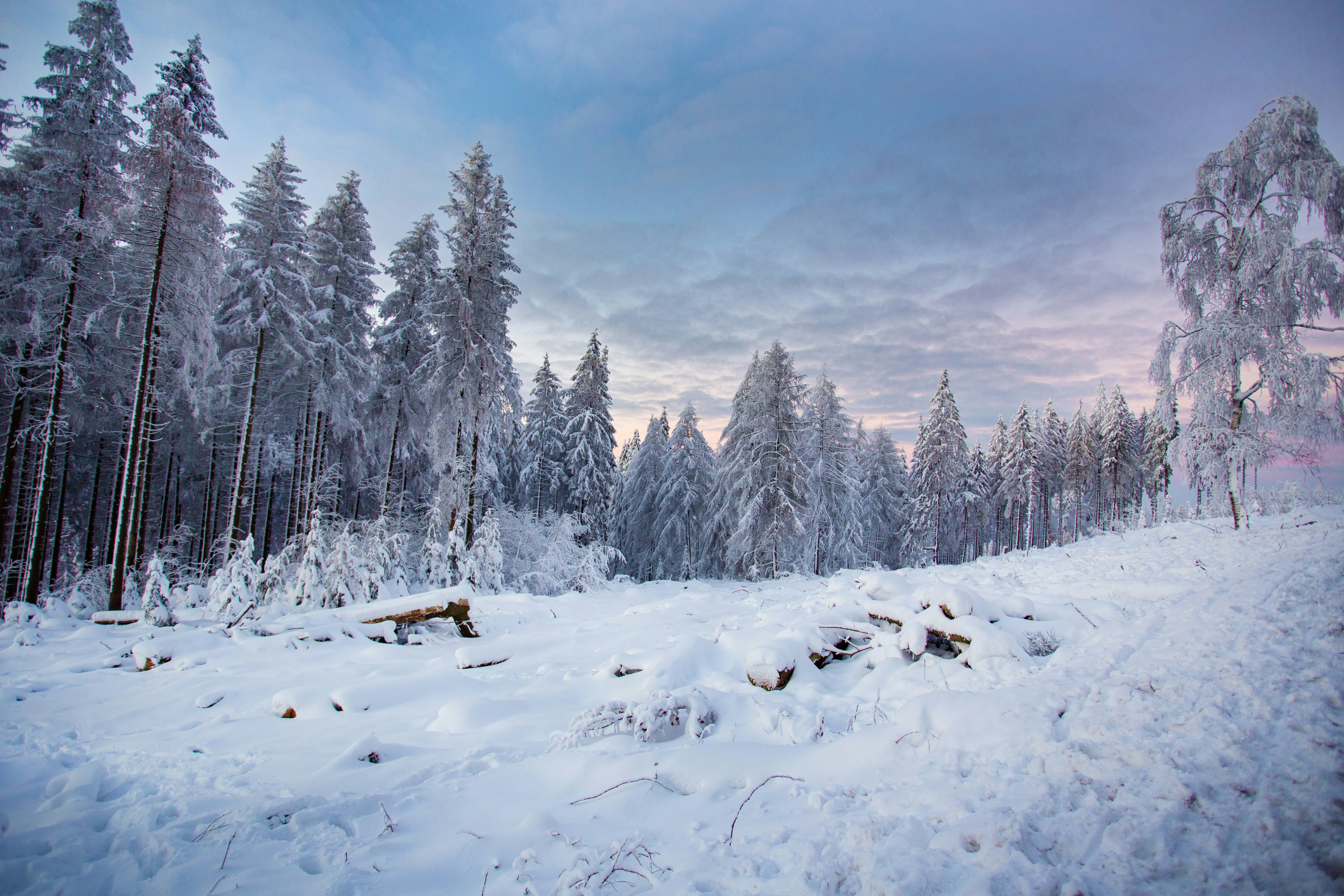 Photo by leetpadilla