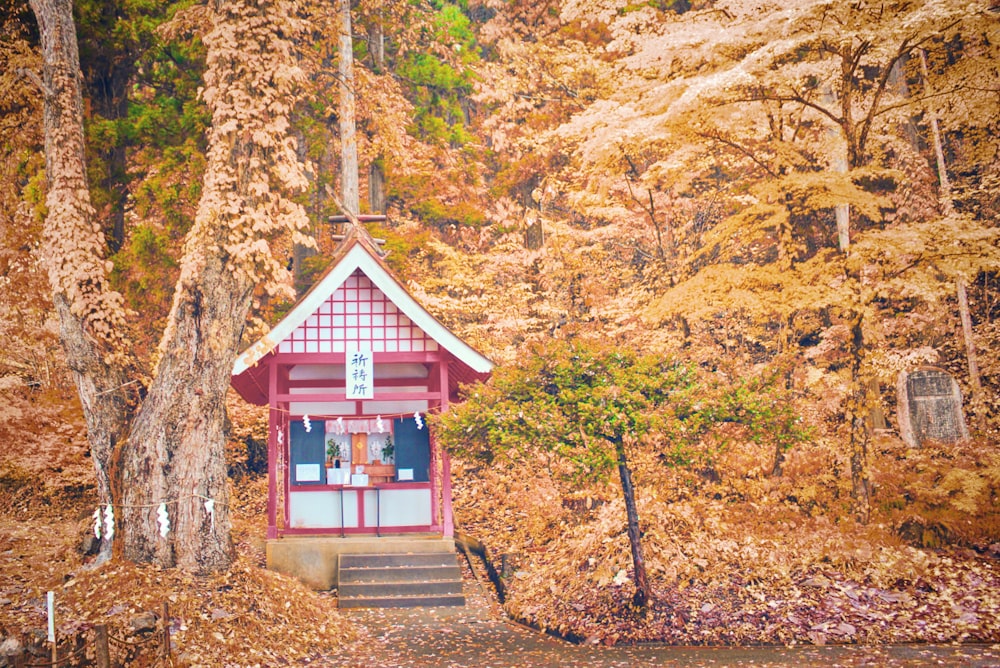 brown wooden house in the middle of forest