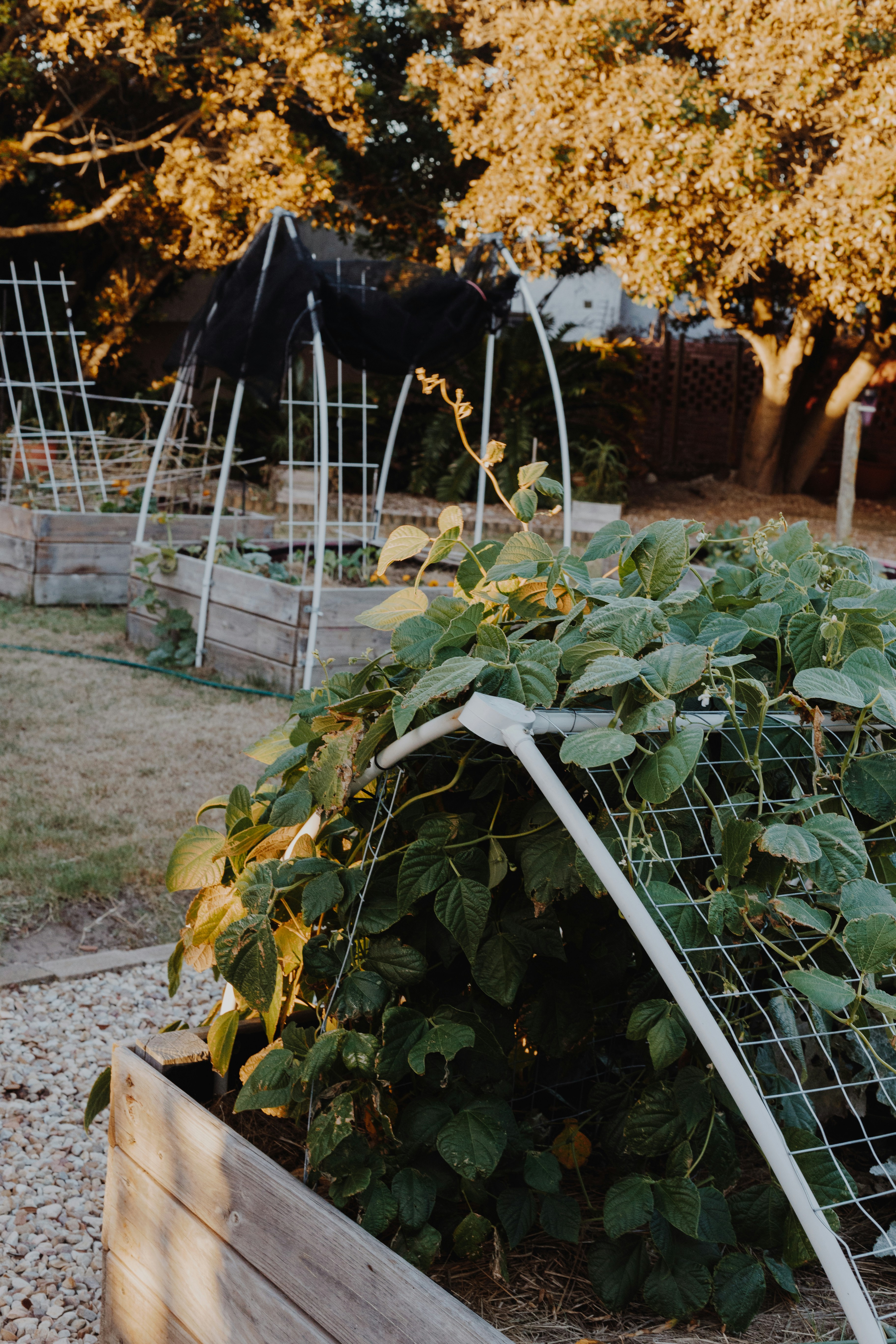 Photo by sincerelymedia