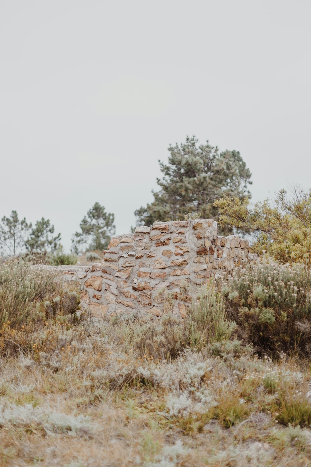 brown rock formation near green trees during daytime