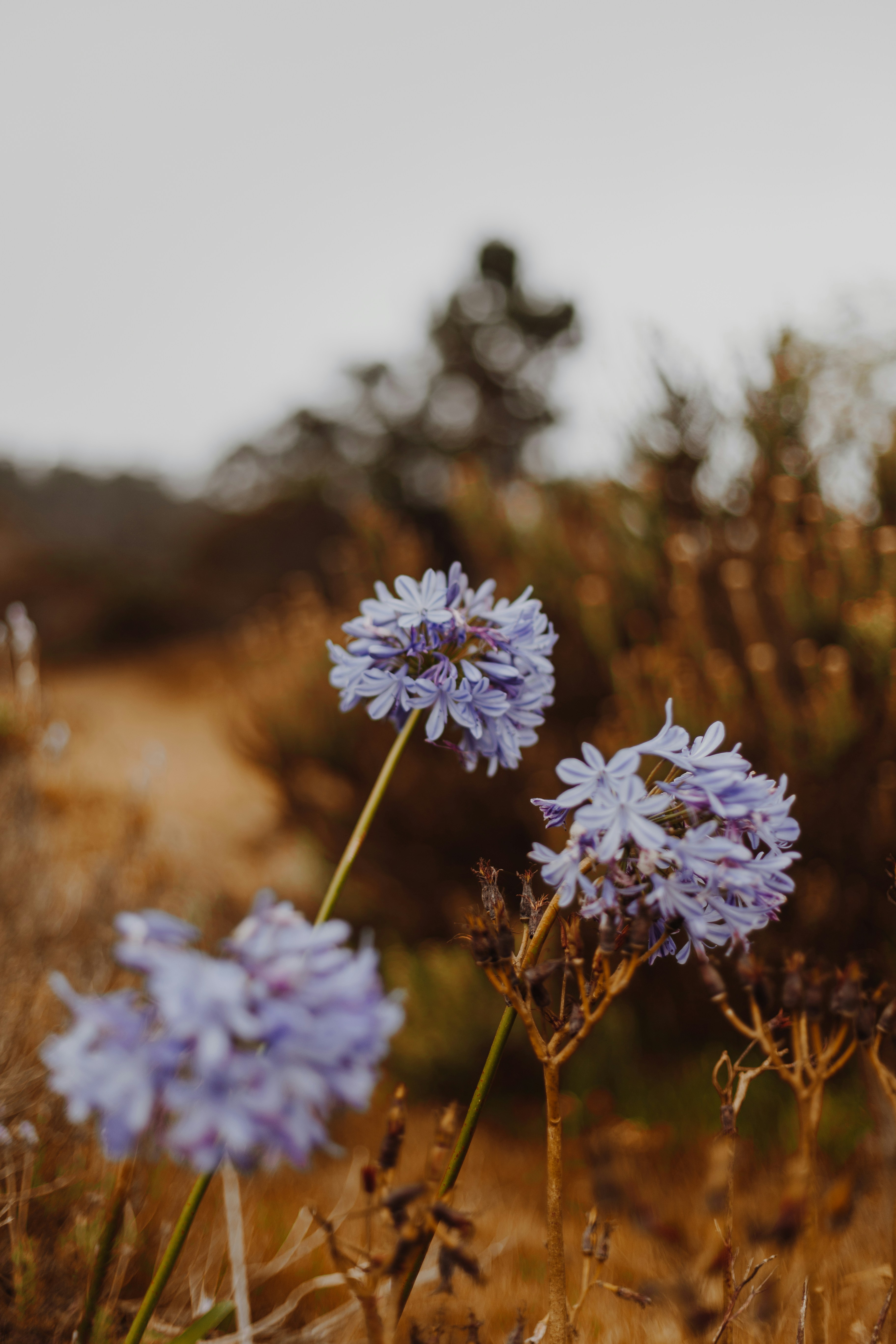 Photo by sincerelymedia