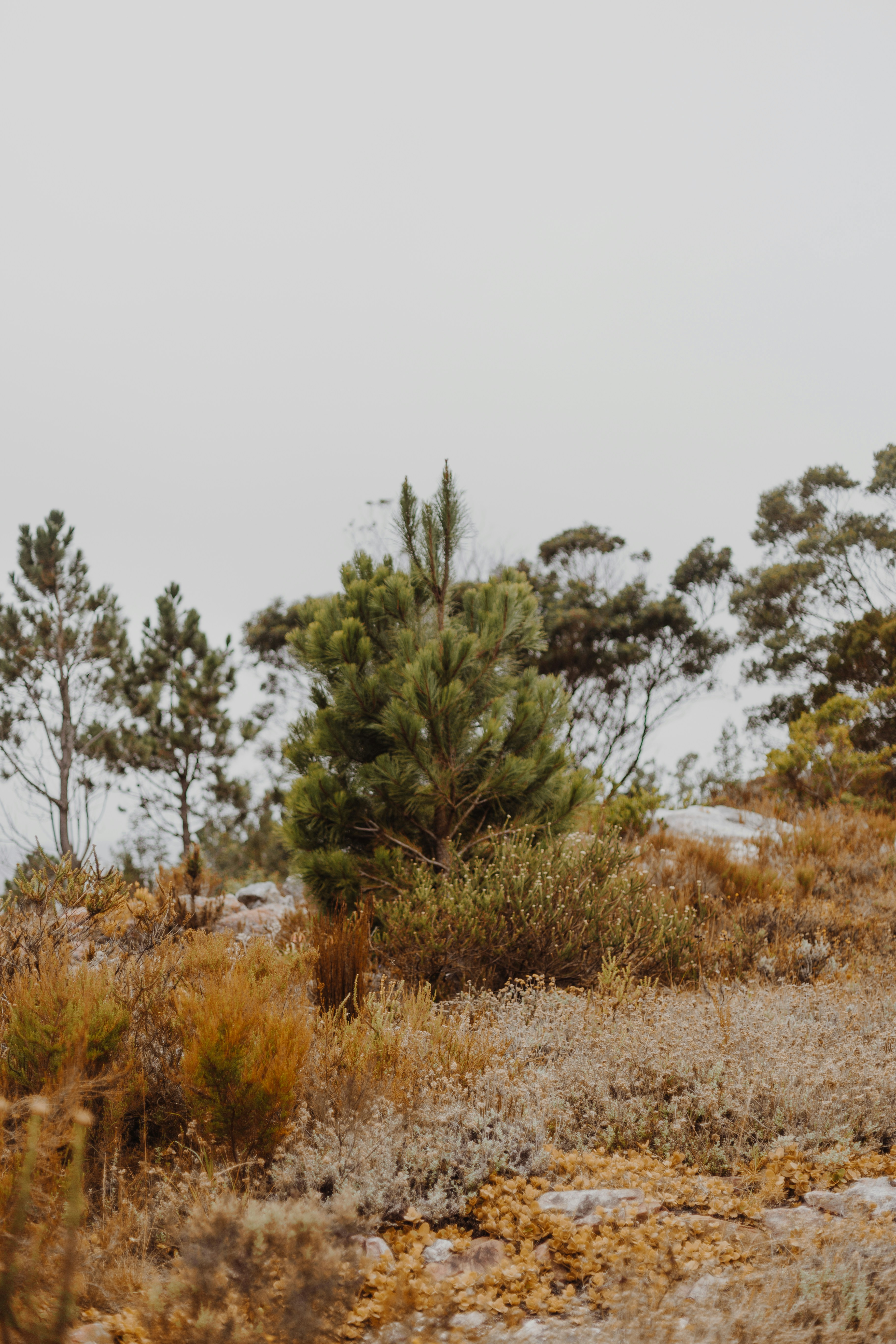 Photo by sincerelymedia