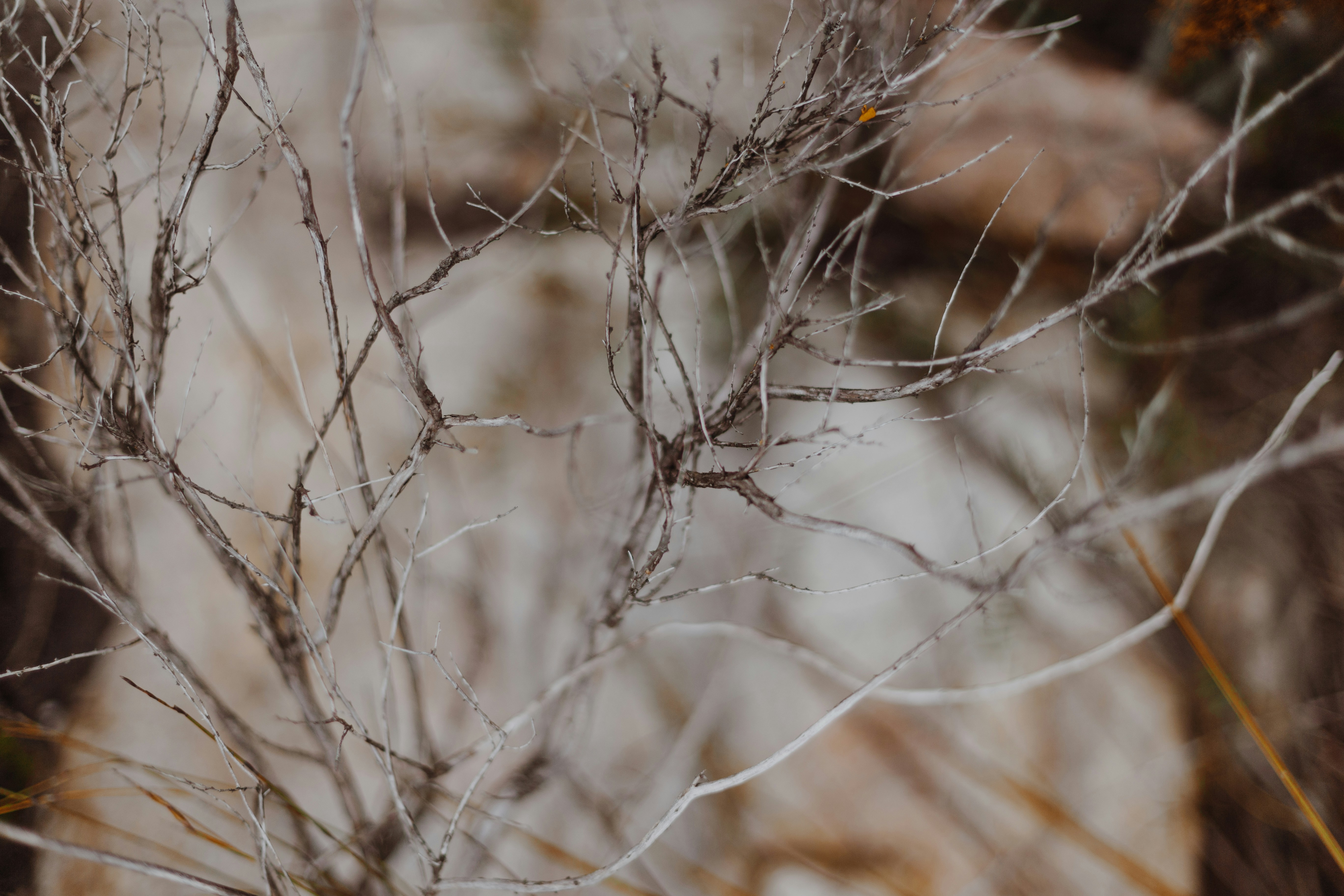 Photo by sincerelymedia