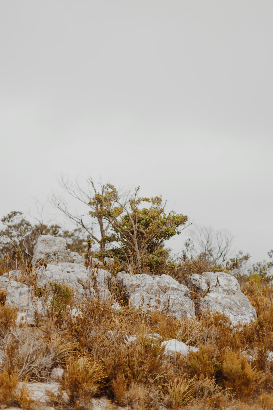 brown and white rock formation under white sky during daytime