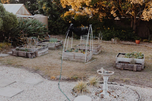 Garden beds and outdoor structures integrated into a backyard oasis in Oakville.