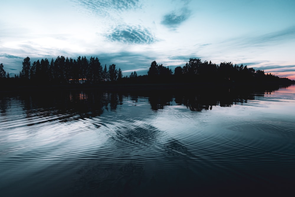 specchio d'acqua vicino agli alberi sotto il cielo nuvoloso durante il giorno