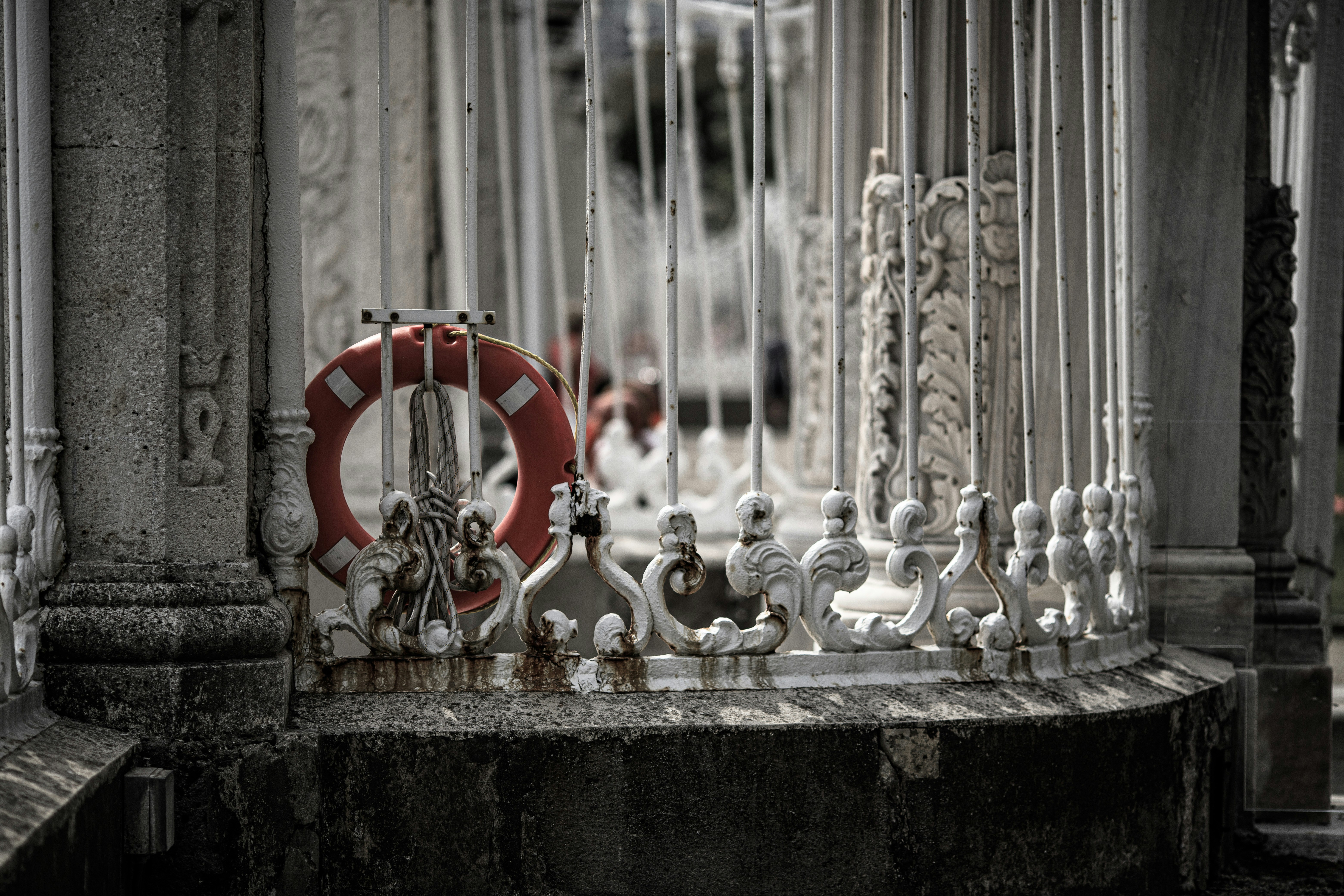 red and white round plastic toy