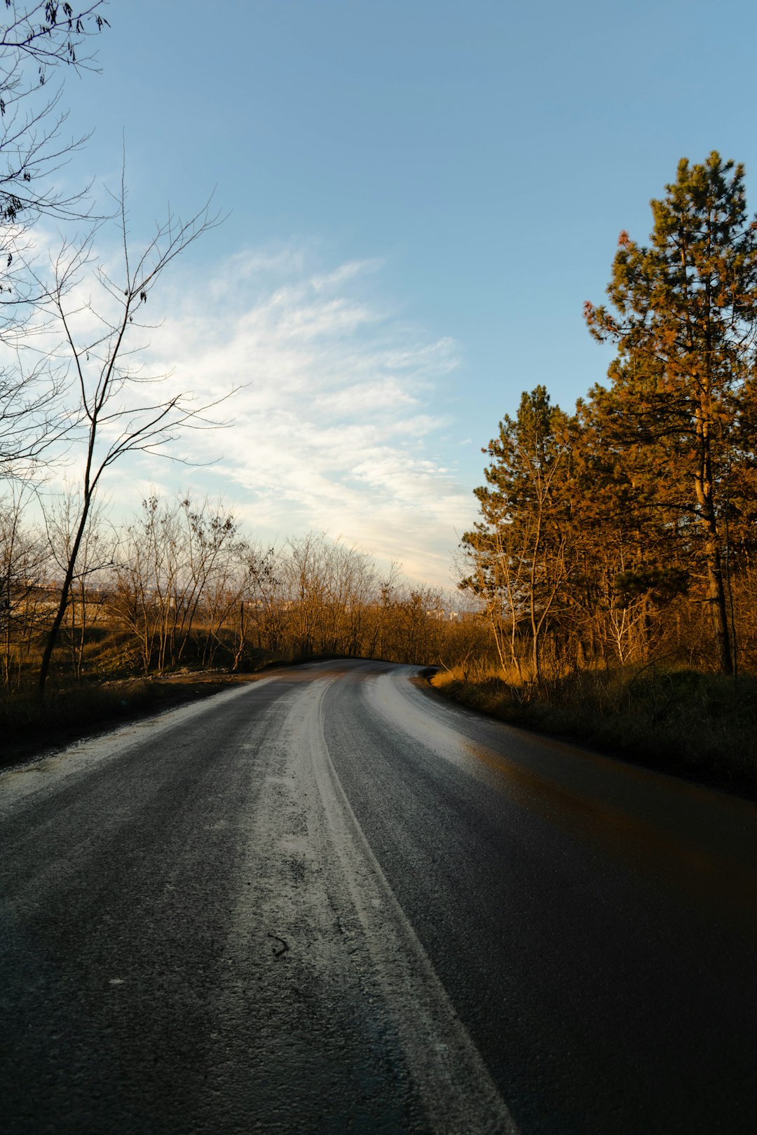 gray asphalt road between brown trees under blue sky during daytime
