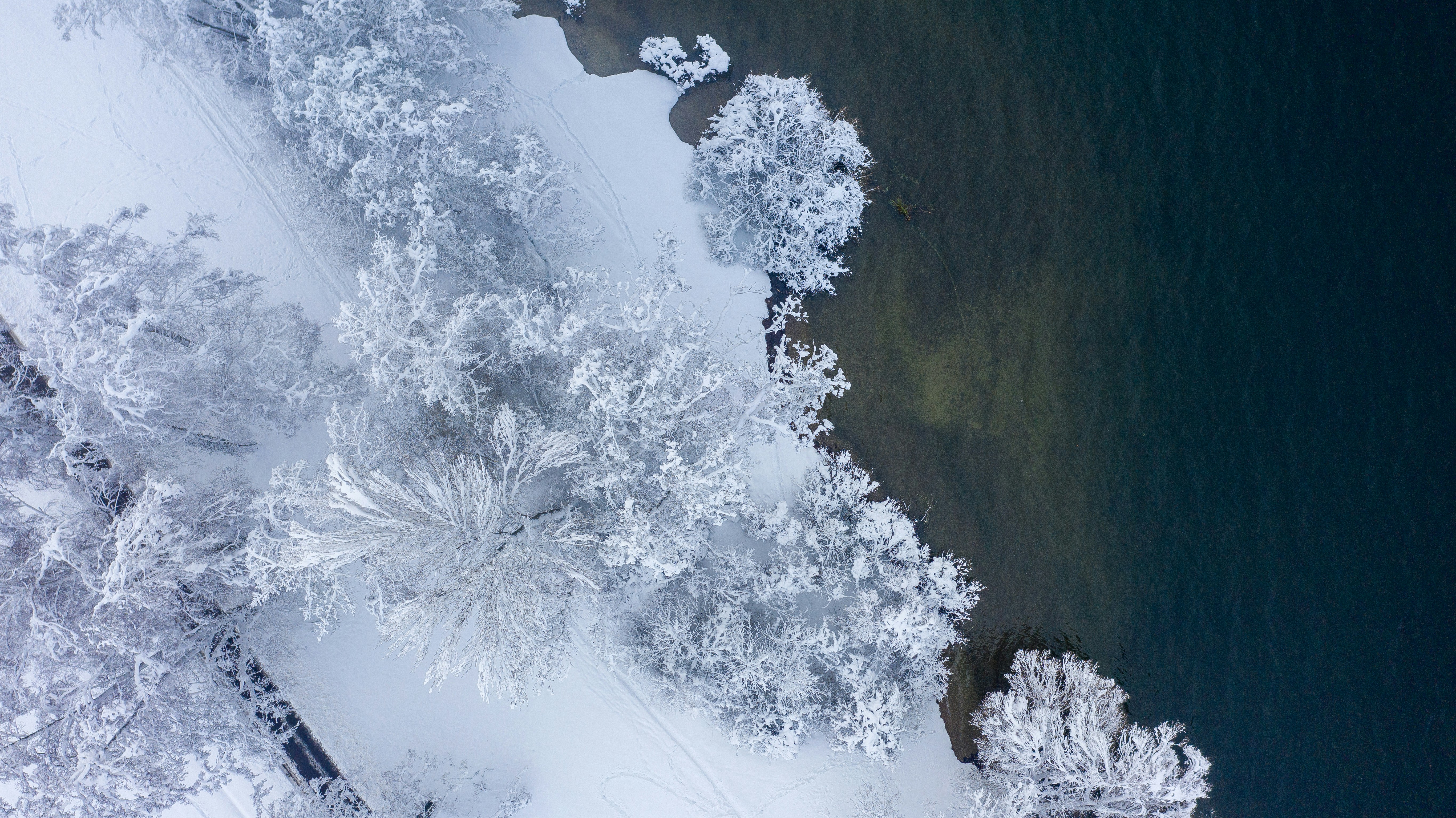 Photo by janick_pixel