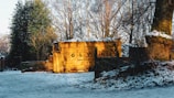 A large yellow dumpster sits outdoors surrounded by bare trees during winter. The ground is covered with a light layer of snow, and there is a mix of sunlight and shadow across the scene. There are green leaves visible on some trees, contrasting with the barren branches of others.