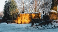 A large yellow dumpster sits outdoors surrounded by bare trees during winter. The ground is covered with a light layer of snow, and there is a mix of sunlight and shadow across the scene. There are green leaves visible on some trees, contrasting with the barren branches of others.