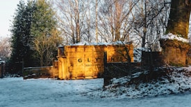 A large yellow dumpster sits outdoors surrounded by bare trees during winter. The ground is covered with a light layer of snow, and there is a mix of sunlight and shadow across the scene. There are green leaves visible on some trees, contrasting with the barren branches of others.