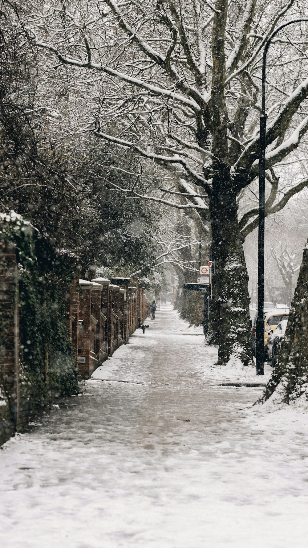 snow covered pathway between trees during daytime