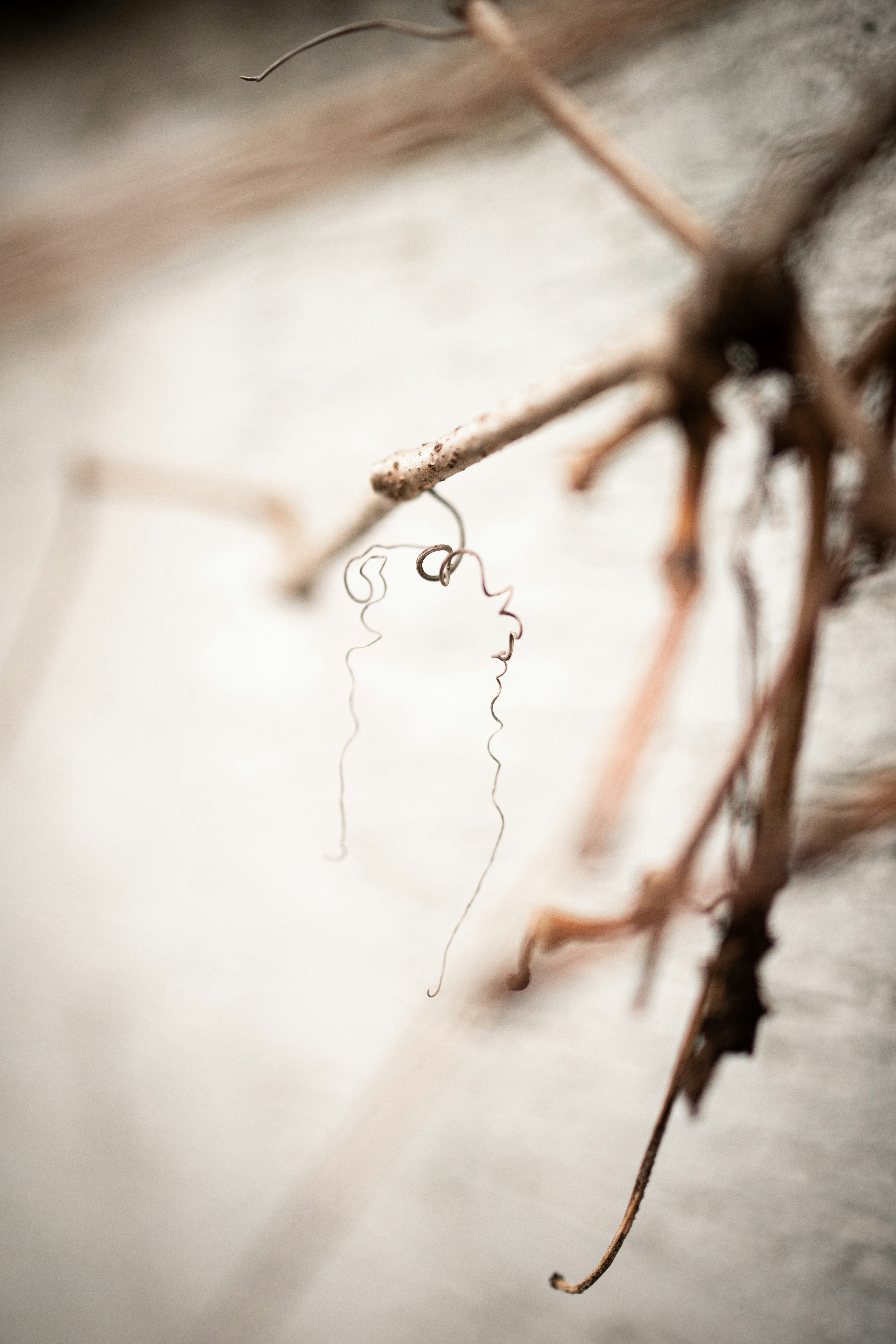 Photo by kajareichardtphotos