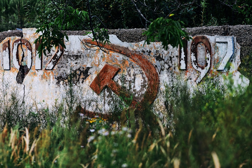 muro di cemento marrone e bianco