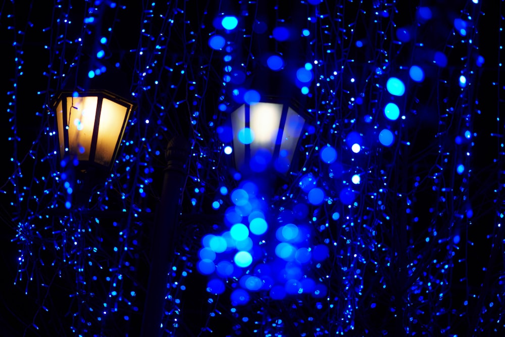 blue and white string lights