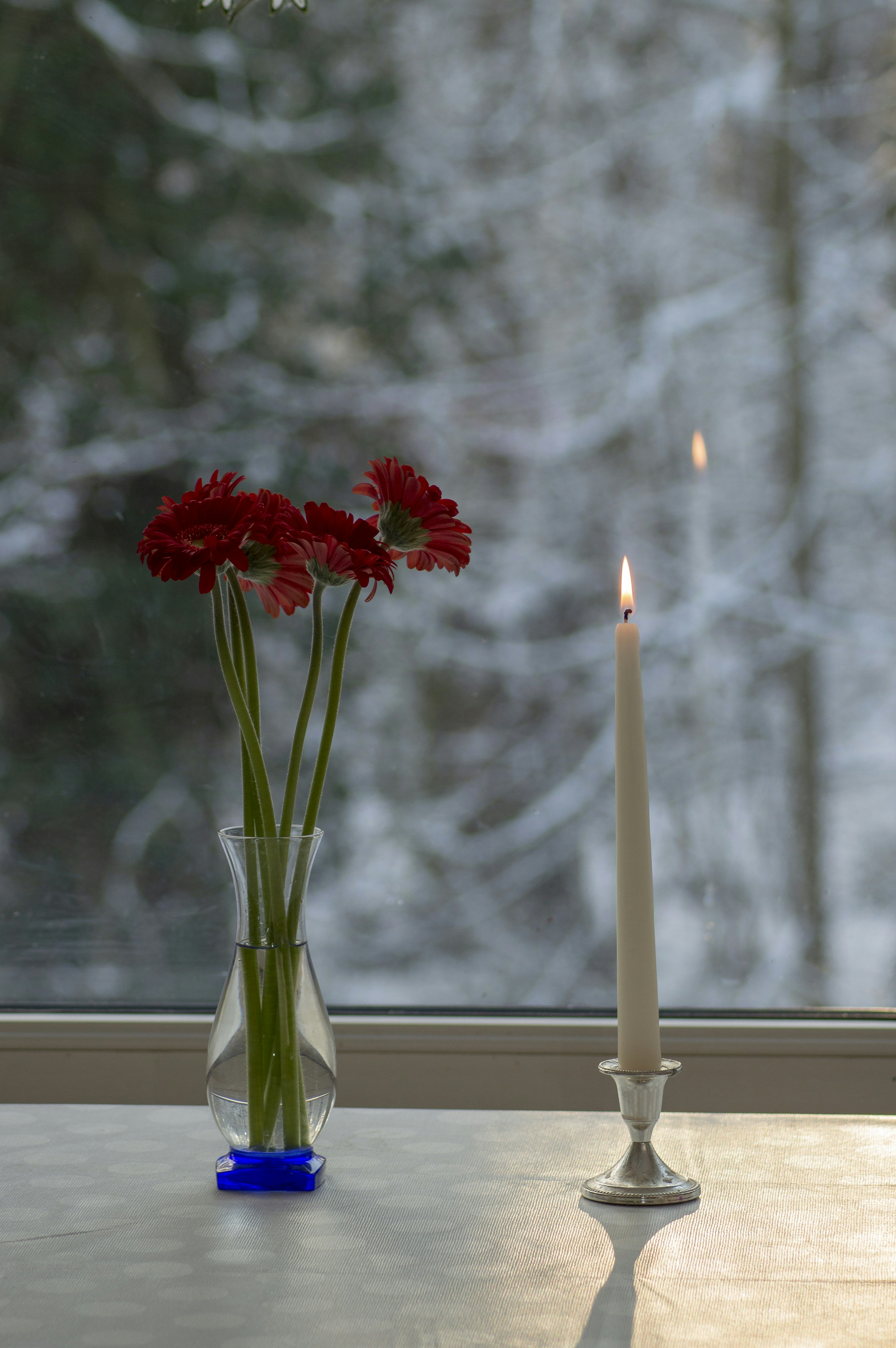 red flower in glass vase